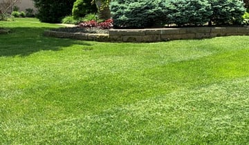 The 10 Best Lawn Care Services in East Point, GA from $30