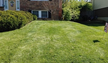 Marcia S.'s lawn in Beverly Hills, CA
