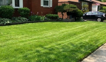 Birmingham Al Landscaping From 29 1 Landscapers Best Of 2021