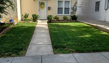 Birmingham Al Lawn Care Service Lawn Mowing From 19 Rated Best 2021