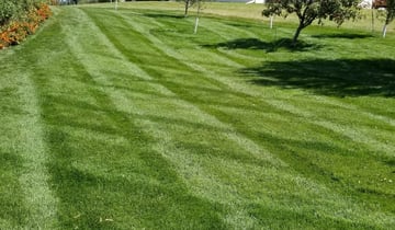 Bothell Wa Lawn Care Service Lawn Mowing From 19 Rated Best 2021