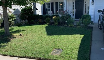 Buffalo Grove Il Lawn Care Service Lawn Mowing From 19 Rated Best 2021