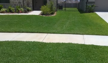 Butler Pa Lawn Care Service Lawn Mowing From 19 Rated Best 2021