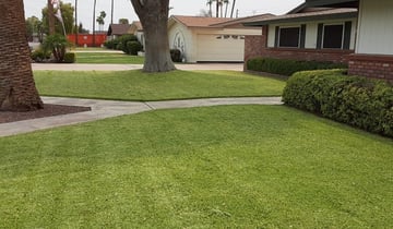 1 Campbell Ca Lawn Care Service Lawn Mowing From 19 Best 2021