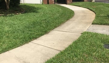 1 Capitol Heights Md Lawn Care Service Lawn Mowing From 19 Best 2021