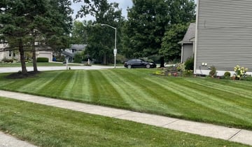 Nc Lawn Care Service Mowing, Landscaping Chapel Hill
