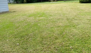 Charlotte Nc Landscaping From 29 1 Landscapers Best Of 2021