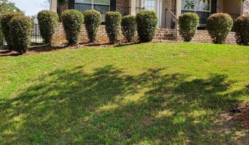 1 Chattanooga Tn Lawn Care Service Lawn Mowing From 19 Best 2021