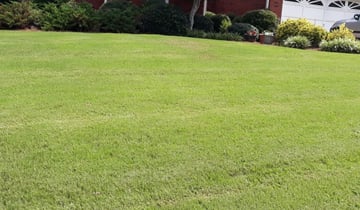 Chesapeake Va Lawn Care Service Lawn Mowing From 19 Rated Best 2021
