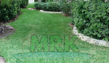 Chesapeake, VA Lawn Care Service | Lawn Mowing from $19 ...