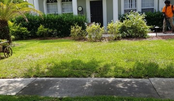 Clairton Pa Lawn Care Service Lawn Mowing From 19 Rated Best 2020
