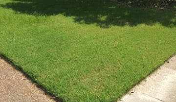 Columbia Sc Lawn Care Service, Top Landscaping Companies Columbia Sc
