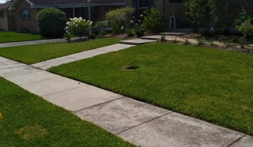 Columbia Sc Lawn Care Service, Blue Moon Landscaping Columbia Sc