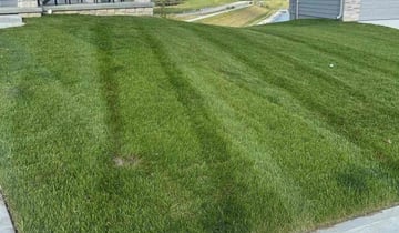 council-bluffs-ia-lawn-care-1434618.jpeg