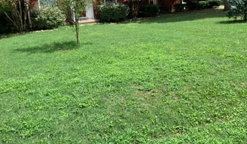 1 Crown Point In Lawn Care Service Lawn Mowing From 19 Best 2021