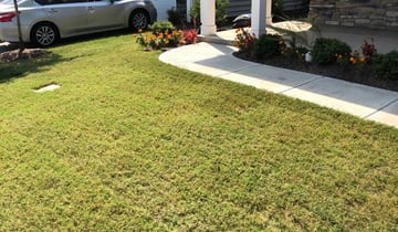 1 Dallas Ga Lawn Care Service Lawn Mowing From 19 Best 2021