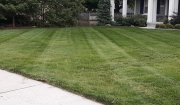 1 Deland Fl Lawn Care Service Lawn Mowing From 19 Best 2021