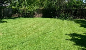 Delray Beach Fl Landscaping From 29 1 Landscapers Best Of 2021