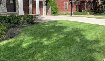 1 Durham Nc Lawn Care Service Lawn Mowing From 19 Best 2021