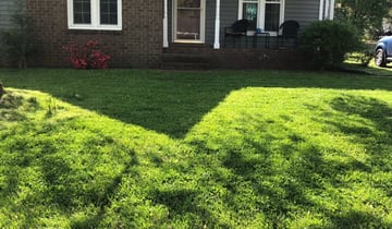 Elmhurst Il Lawn Care Service Lawn Mowing From 19 Rated Best 2021