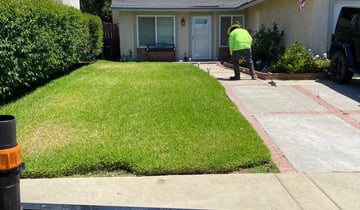 Everett Wa Lawn Care Service Lawn Mowing From 19 Rated Best 2021
