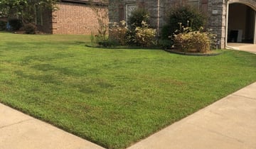 Farmers Branch Tx Lawn Care Service Mowing From 19 Rated Best 2021 Farmers Branch Tx Lawn Care Service, Pest Control Farmers Branch Texas