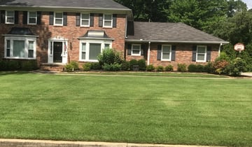 1 Forest Lake Mn Lawn Care Service Lawn Mowing From 19 Best 2021