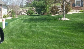 Friendswood Tx Lawn Care Service Lawn Mowing From 19 Rated Best 2021