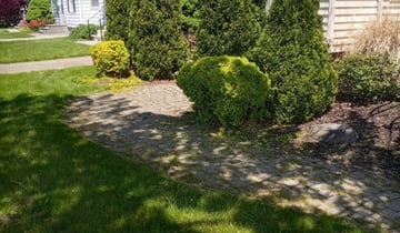 when can you start pruning bushes, 22630 Front Royal VA
