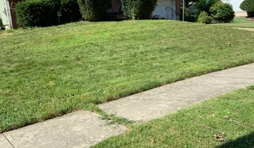 tanner lawn care on Garden Grove Ca Lawn Care Service Lawn Mowing From 19 Rated Best 2021