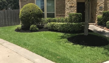 1 Gastonia Nc Lawn Care Service Lawn Mowing From 19 Best 2021