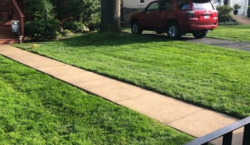 1 Georgetown Tx Lawn Care Service Lawn Mowing From 19 Best 2021