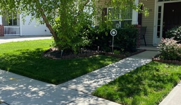 1 Georgetown Tx Lawn Care Service Lawn Mowing From 19 Best 2021