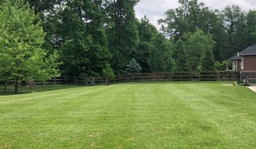 1 Glastonbury Ct Lawn Care Service Lawn Mowing From 19 Best 2021