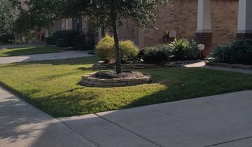 1 Goodyear Az Lawn Care Service Lawn Mowing From 19 Best 2021