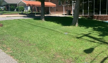 Greenville, SC Landscaping from $29 | #1 Landscapers ...