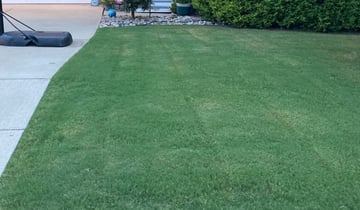 Holly Springs Nc Lawn Care Service Lawn Mowing From 19 Rated Best 21