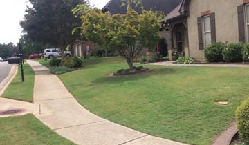Huntsville Al Lawn Care Service Lawn Mowing From 19 Rated Best 2021