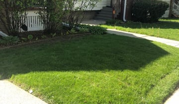 indian trail nc lawn care 426292