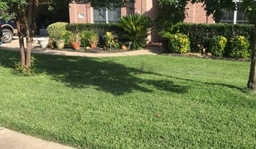 The 1 Lawn Care Service In Katy Tx, Cruz Landscaping South Bend