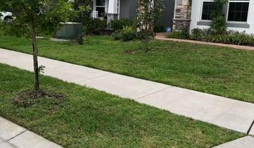 Kissimmee Fl Landscaping From 29 1 Landscapers Best Of 2021