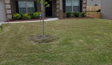 knightdale nc lawn care 329828