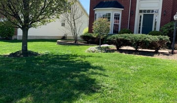 affordable lawn care clarksville tn
