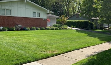 Knoxville Tn Lawn Care Service Lawn Mowing From 19 Rated Best 2021