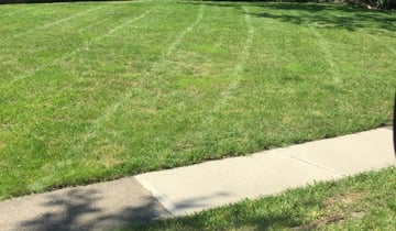 Lake Jackson Tx Lawn Care Service Lawn Mowing From 19 Rated Best 2021 Lake Jackson Tx Lawn Care Service Lawn Mowing From 19 Rated Best 2021