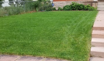 Lake Mary Fl Lawn Care Service Lawn Mowing From 19 Rated Best 21