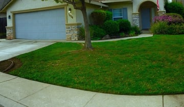 1 Lees Summit Mo Lawn Care Service Lawn Mowing From 19 Best 2021