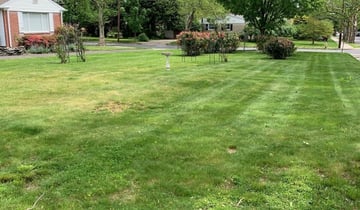 1 Leicester Nc Lawn Care Service Lawn Mowing From 19 Best 2021