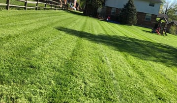 Lawn Mowing Service Littleton Co