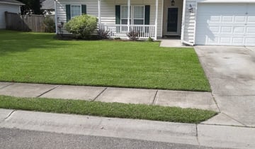 Los Angeles Ca Lawn Care Lawn Mowing From 19 Lawnstarter